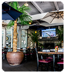 salty dog bluffton