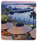 salty dog charleston