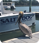 Salty Dog Happy Hour Cruise boat