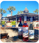 Salty Dog Spirits