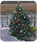 Salty Dog Christmas